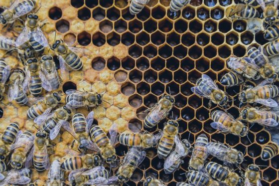 AdobeStock_262689188